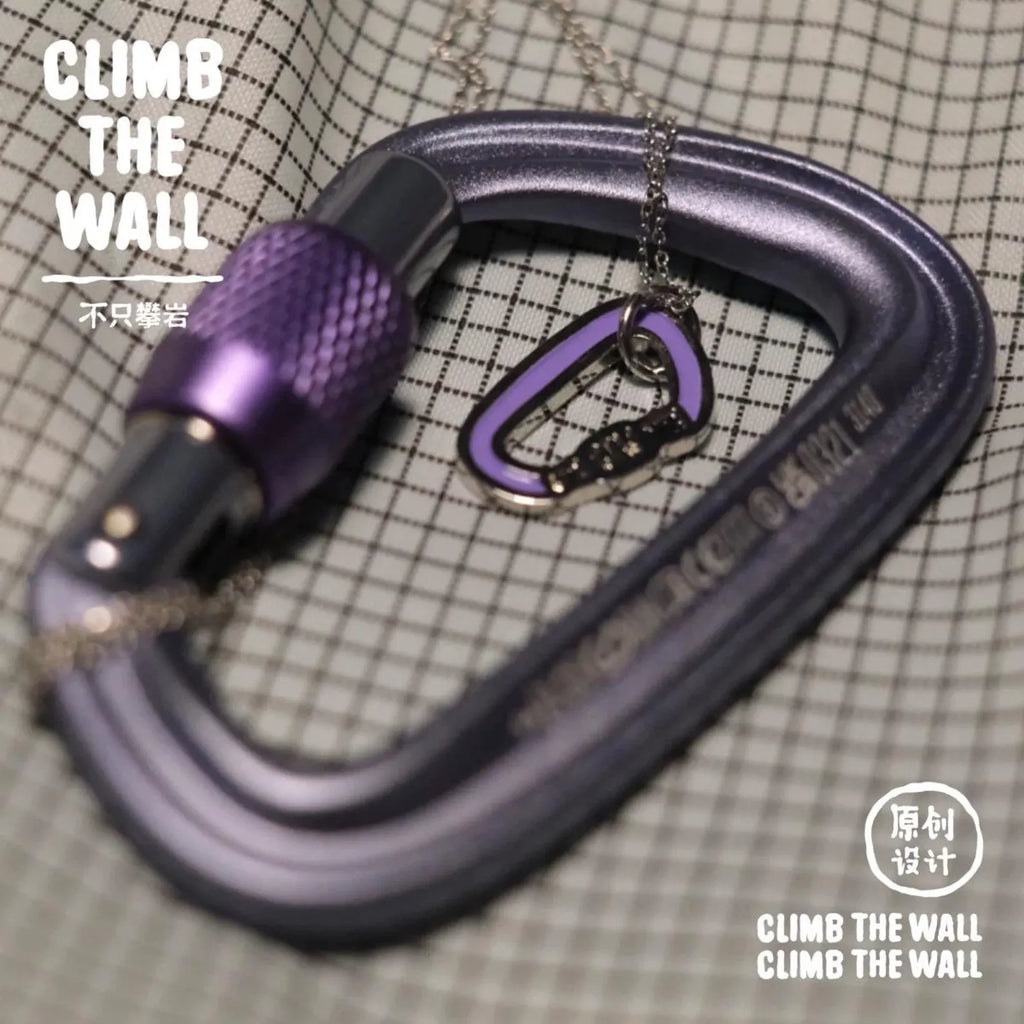Two carabiners, one purple and one silver, on a textured surface with 'Climb the Wall' text.