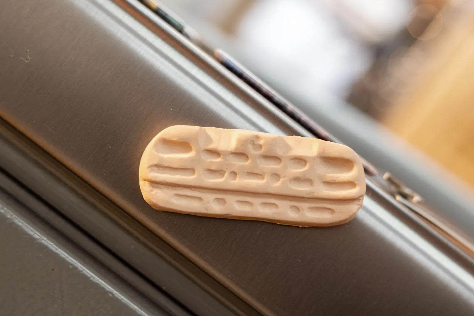 Cookie on a metallic surface with a blurred background